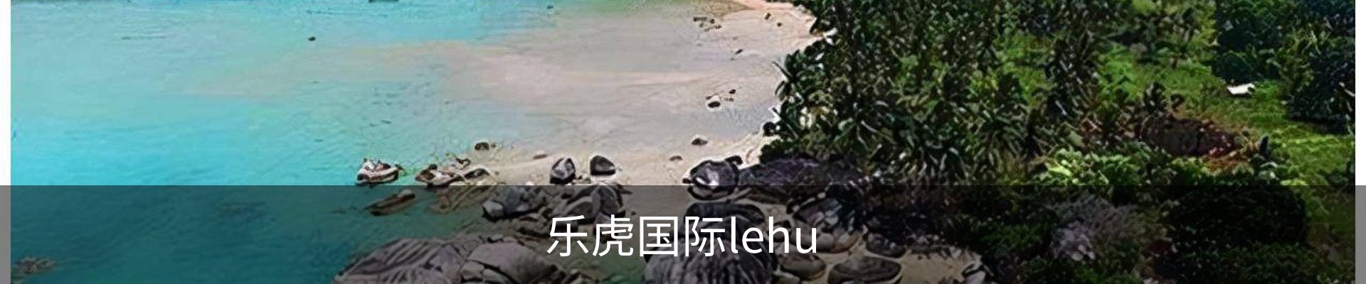 乐虎国际lehu